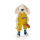 Sticky Image