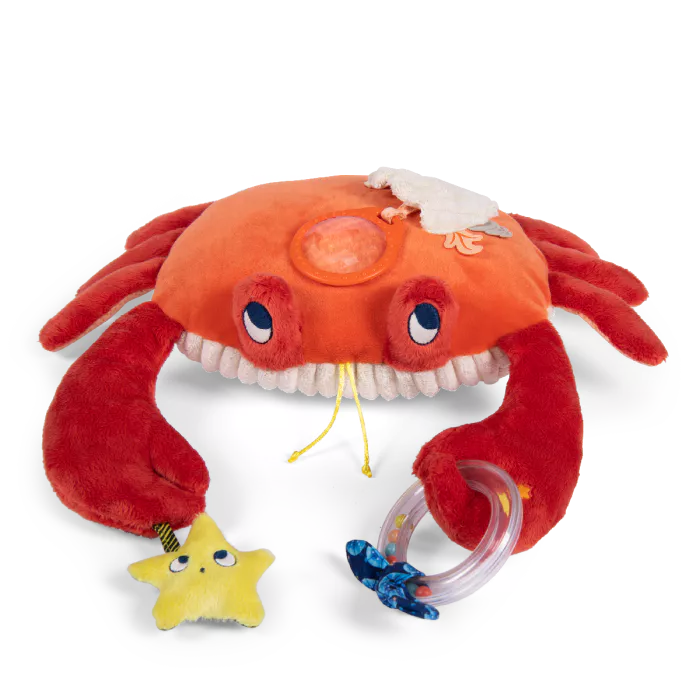 GRAND CRABE D'ACTIVITES - LES AVENTURES DE PAULIE